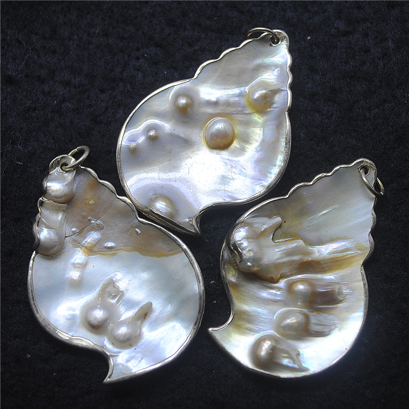 3PCS Nature Shell Pendants Mot - огляд і ціна Women Fashion Nz