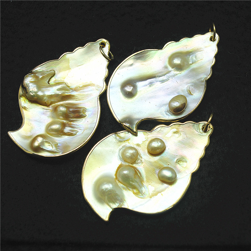 3PCS Nature Shell Pendants Mot - огляд і ціна Women Fashion Nz