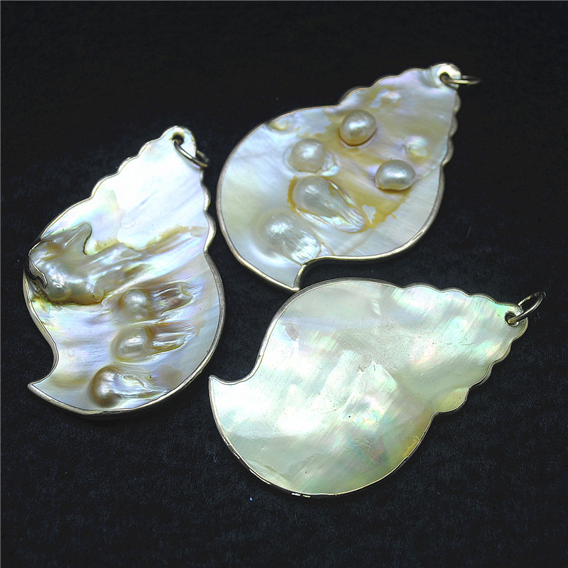 3PCS Nature Shell Pendants Mot - огляд і ціна Women Fashion Nz
