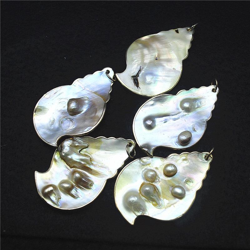 3PCS Nature Shell Pendants Mot - огляд і ціна Women Fashion Nz